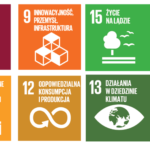 Seria: SDGs w Łukasiewiczu – Skoro coś jest idealne, po co to zmieniać? Zrównoważone drewno